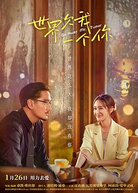 怎样建立网站优化软件库